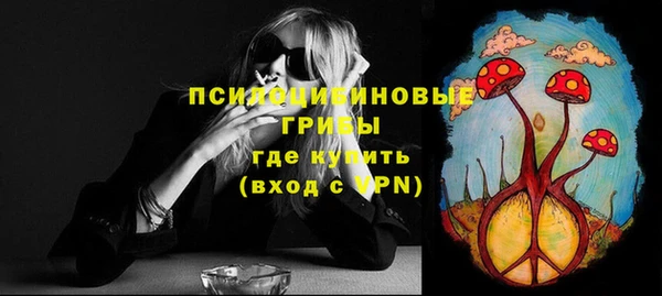 синтетический гашиш Няндома