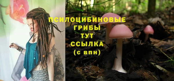 синтетический гашиш Няндома