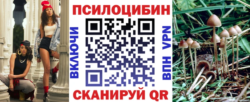 Псилоцибиновые грибы Psilocybe  Ивдель 